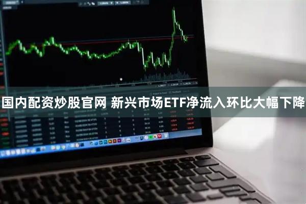 国内配资炒股官网 新兴市场ETF净流入环比大幅下降